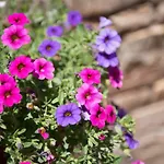 Dimitreli Eleni Appartement *